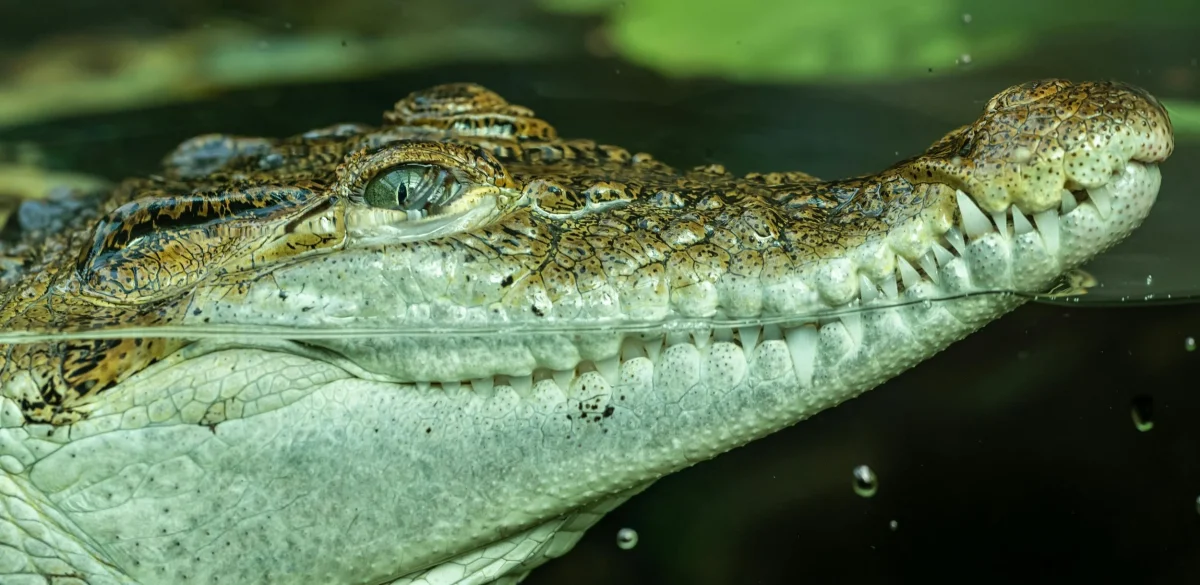 Photo courtesy of pexels.com 