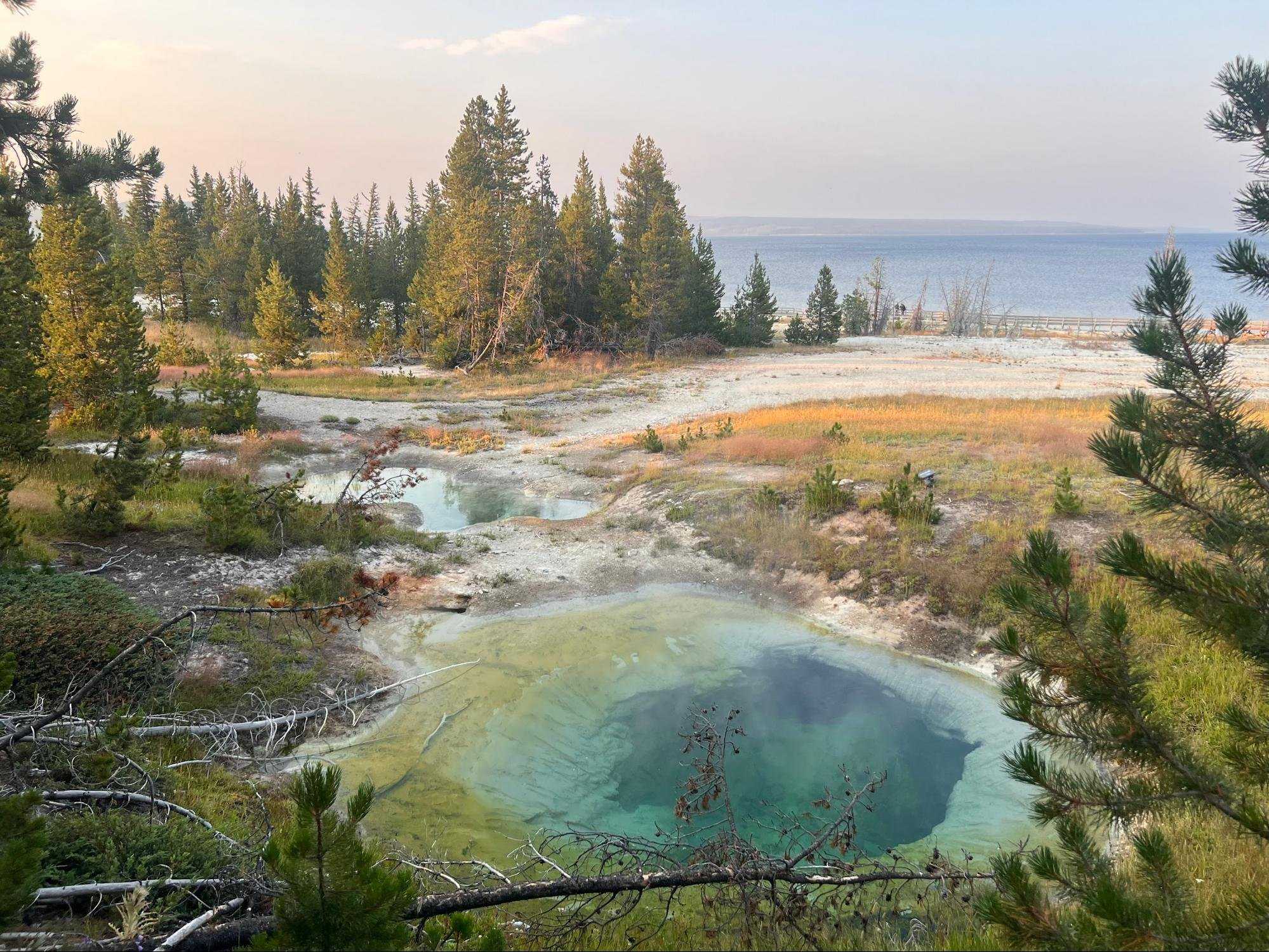  Yellowstone National Park, pictured above, was the first National Park in the United States. Environmental science student Via Hubka, who is hoping to become a park ranger in the future, visited Yellowstone in July 2024. “I’m studying to be a park Ranger because I fear for the future of the national parks,” Hubka said. Photo courtesy of Via Hubka. 