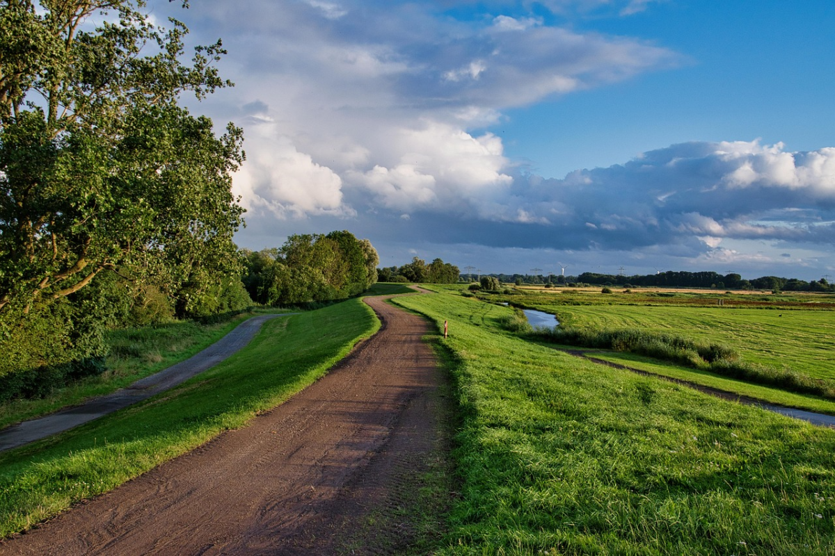 Rewilding: A Bold Approach to Conservation
