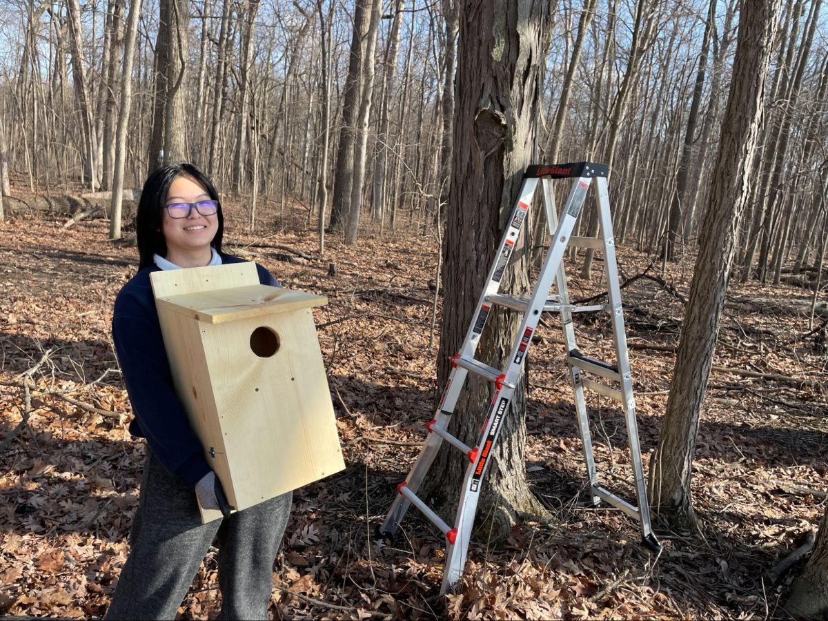 Ouyang and one of her bird boxes.
