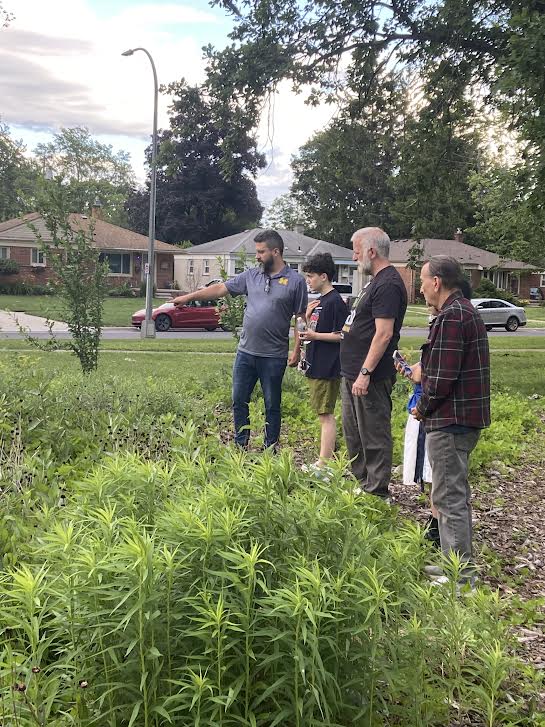 (L to R) Livonia residents Bob, Naz, Derek, Jaron, and Pete discuss plans for rebuilding the monarch waystation in Clements Circle Park